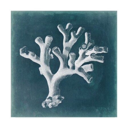 Trademark Fine Art Vision Studio 'Azure Coral Ii' Canvas Art, 24x24 WAG03901-C2424GG